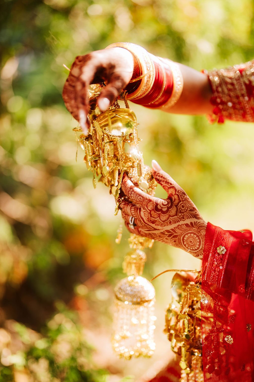 Radhika & Abdullah - Photo 2